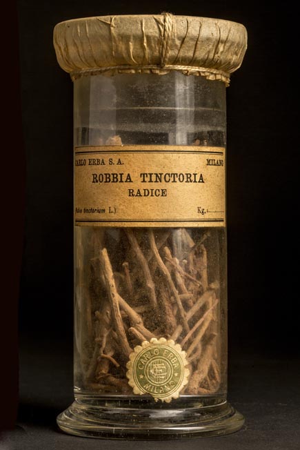 ROBBIA TINCTORIA - radice